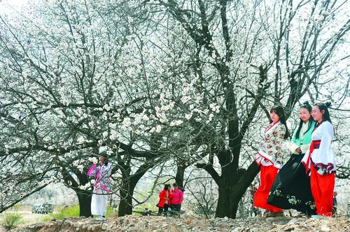 bv1946伟德iOS版官方下载